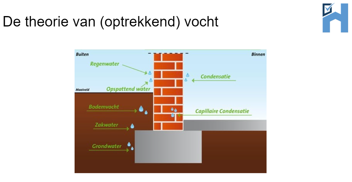 Wat Is De Reden Van Vocht In Je Buik