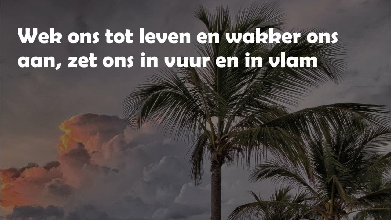 De Wind Steekt Op Tekst
