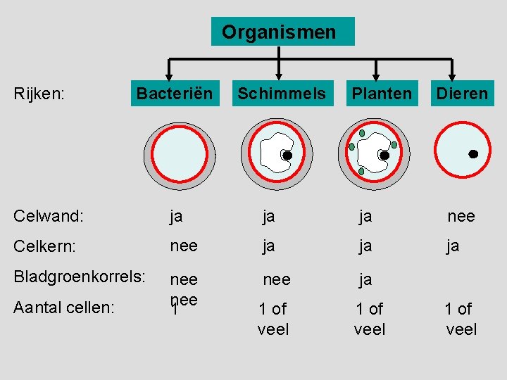 Ordening Organismen Rijken Bacterin Schimmels Planten Dieren Celwand - Welke Celkenmerken Heeft De Schimmel Die Roos Veroorzaakt