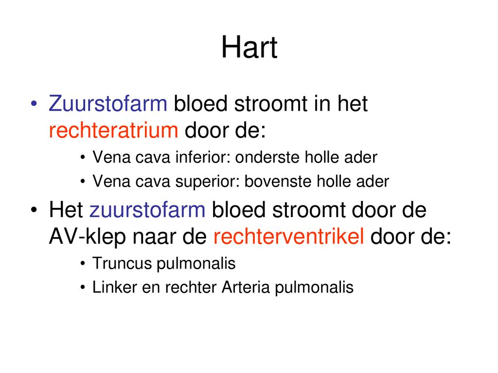 Door Welke Ader Stroomt Zuurstofarm Bloed Naar De Lever