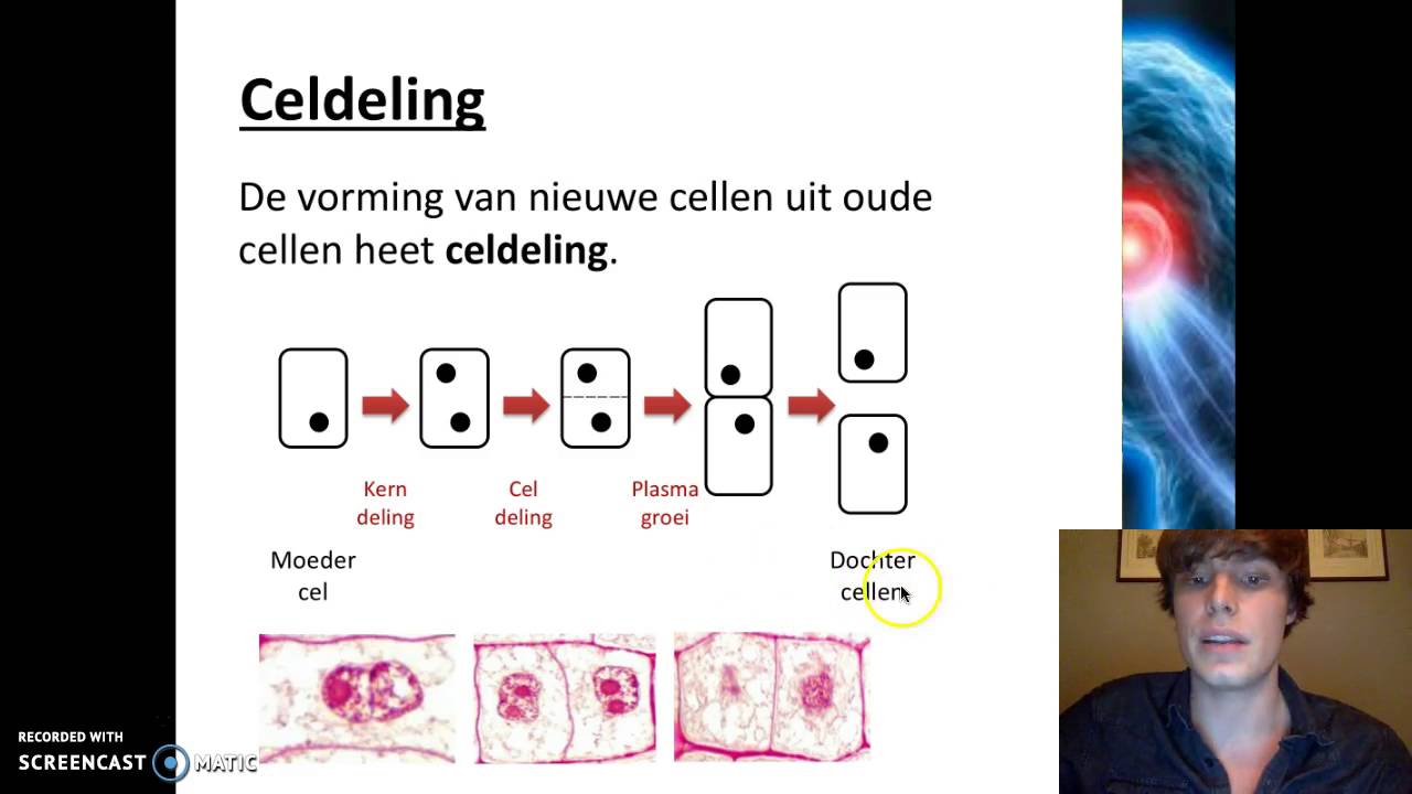 Organen en cellen - Celdeling - YouTube - Hoe Maak Je Een Preparaat