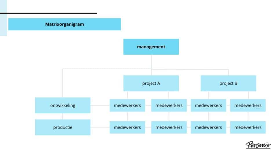 Organigramme Maken – Jethro Jeff - Hoe Maak Je Een Goede Enquête