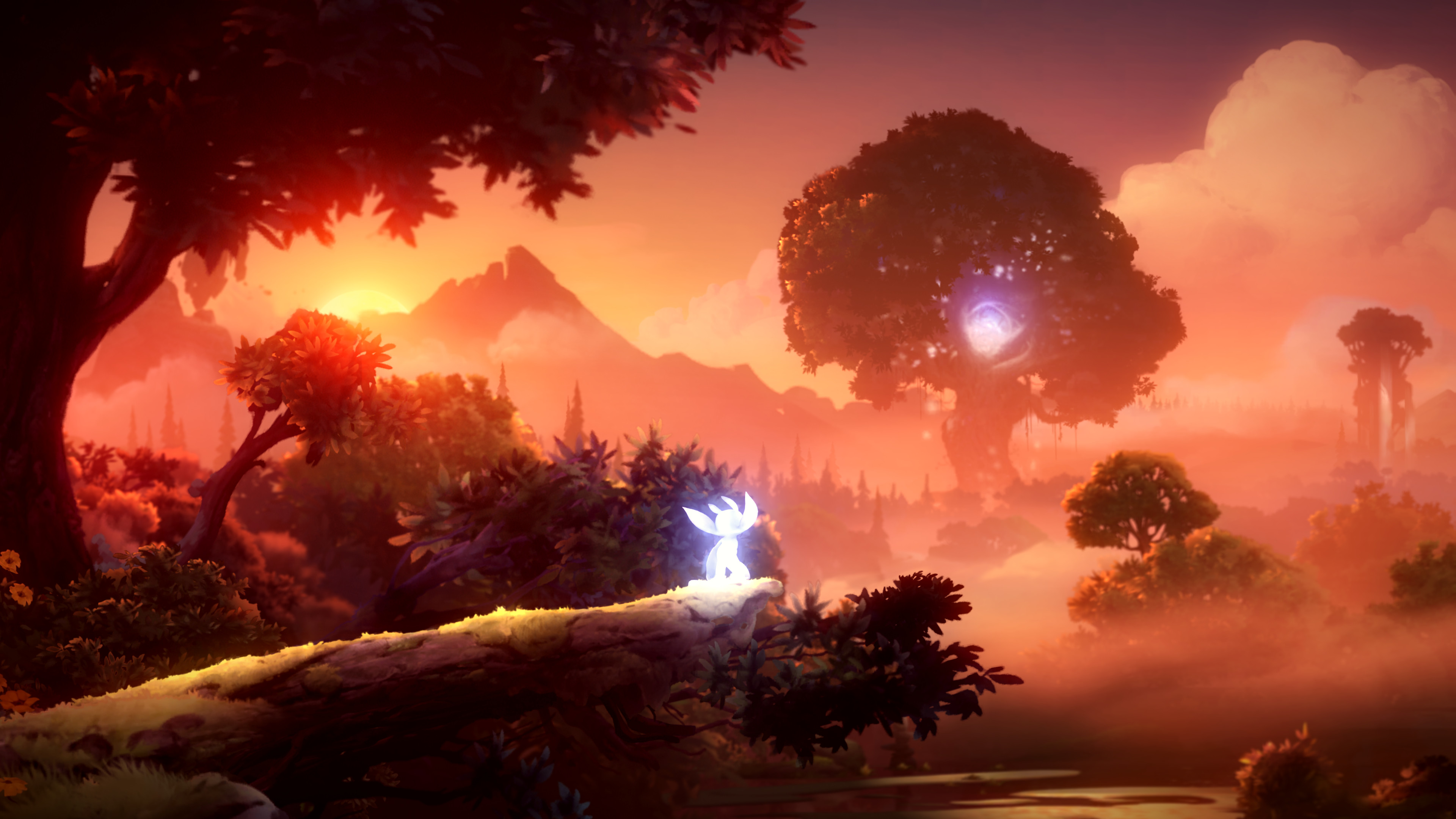 Ori and the Will of the Wisps: 5 big changes that are coming to Ori 2 - Oriëntatie In De Twee- En Driedimensionale Wereld