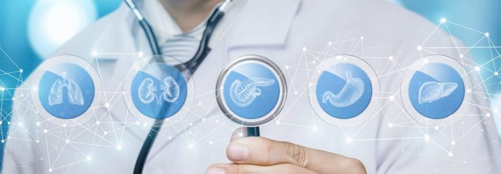 Orthomoleculair kennisinstituut - SOHF - Wat Is Een Orthomoleculair Therapeut