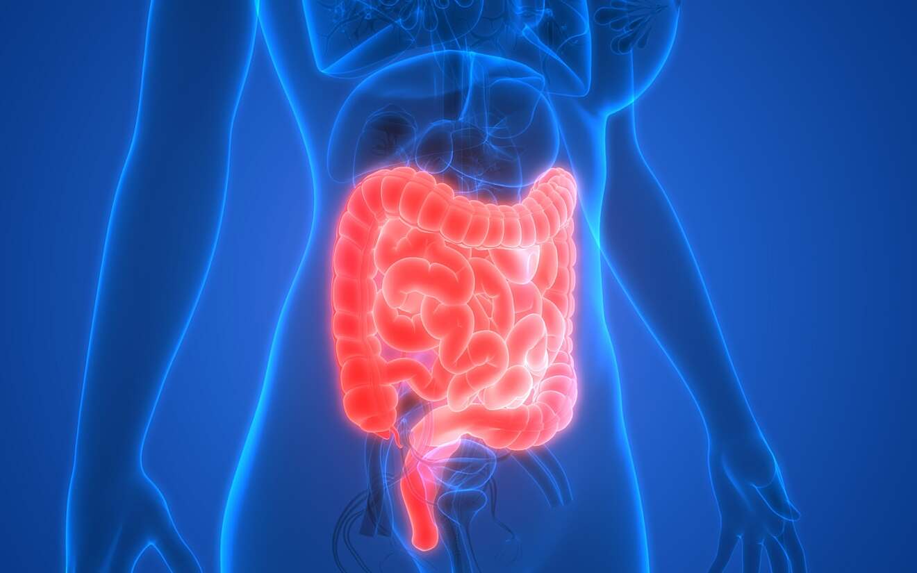 Over de ziekte van Crohn en colitis ulcerosa | Patiëntenvereniging voor - Ziekte Van Crohn En Colitis Ulcerosa