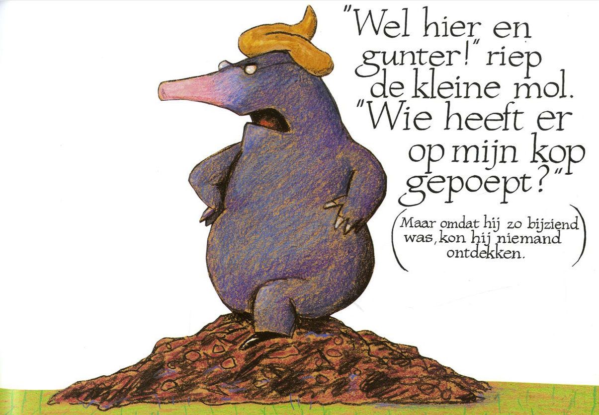 Over een kleine mol die wil weten wie er op zijn kop gepoept heeft - Mol Wie Heeft Er Op Mijn Hoofd Gepoept