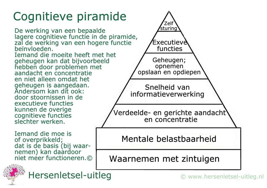 Wat Is Een Neuropsychologisch Onderzoek