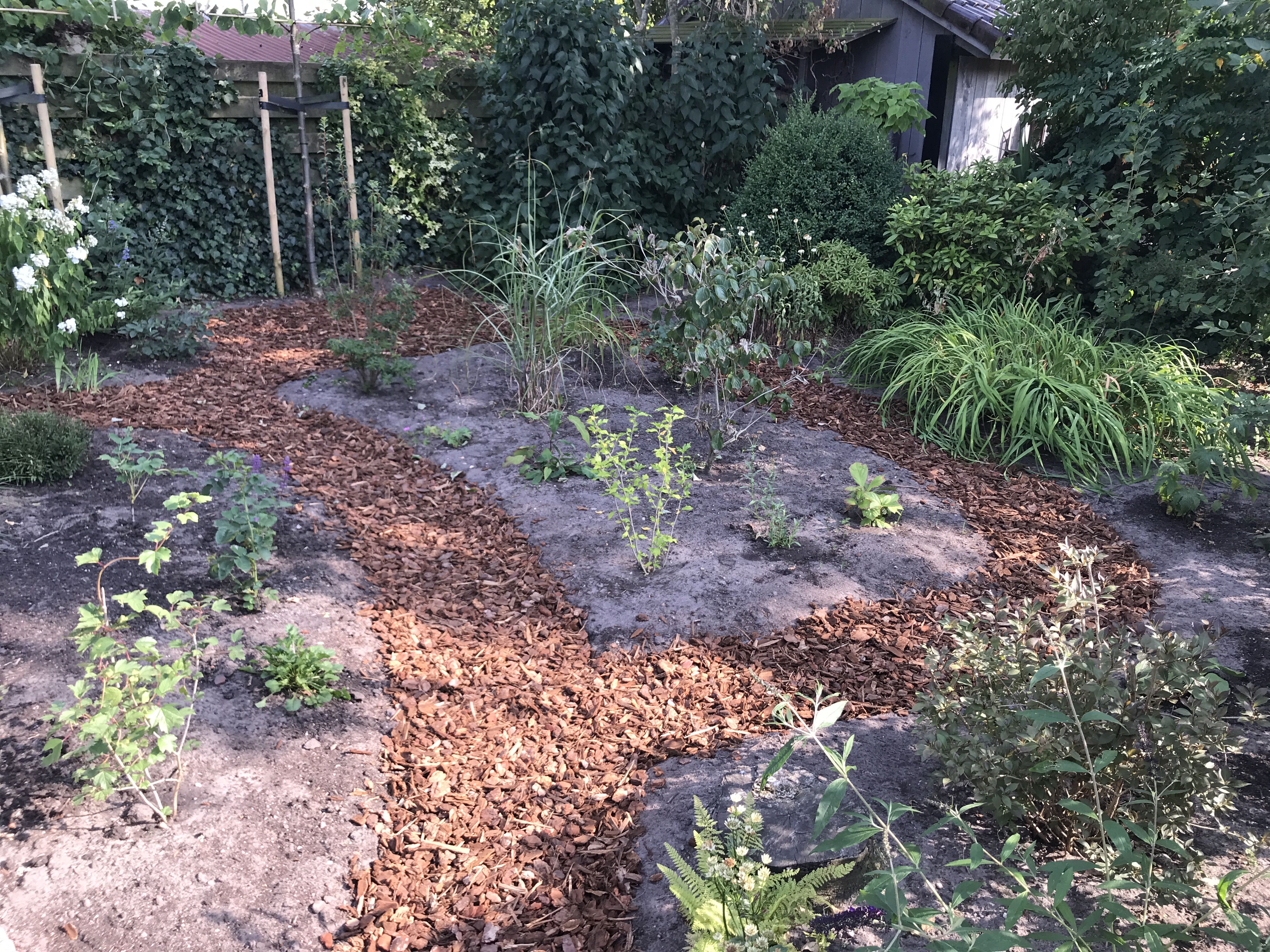 Paadjes in de "park-tuin" voorzien van boomschors | Tuin ideeën, Tuin - Kikker Of Pad In De Tuin