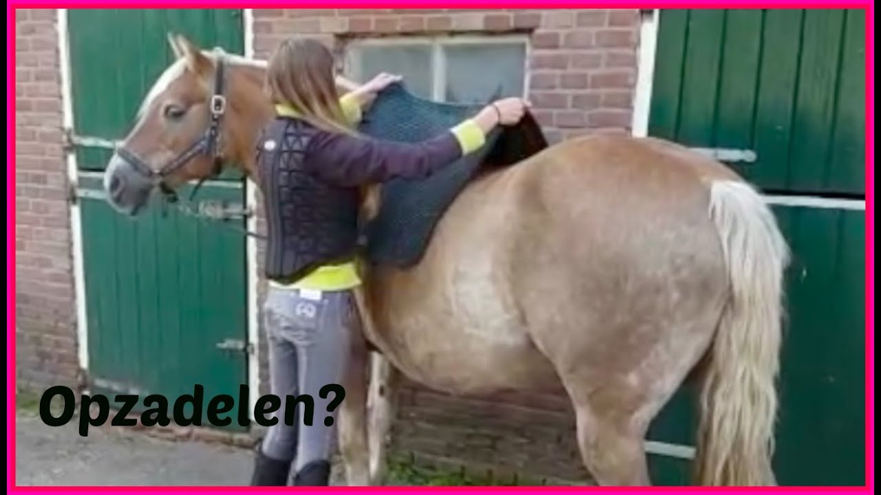 Paard opzadelen | How To | Paarden verzorging - YouTube - Heeft Een Paard Een Mond Of Een Bek