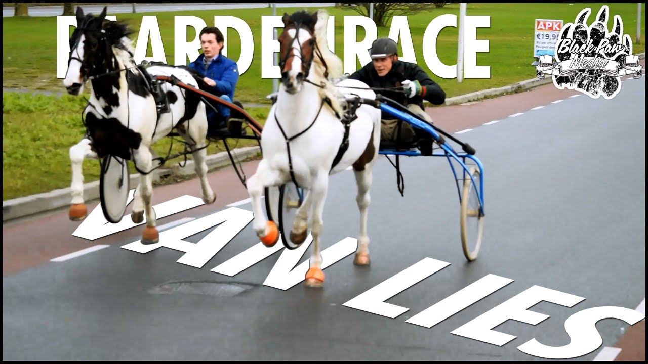 Hoe Heet Het Wagentje Bij Paardenrace