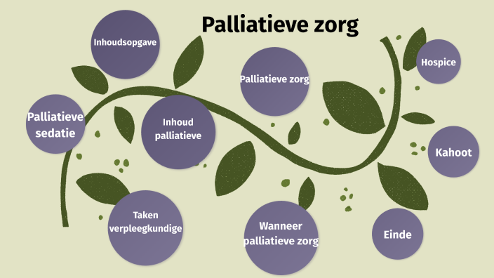 palliatieve zorg by jessica speijer on Prezi - Praktijk Onderzoek In Zorg En Welzijn