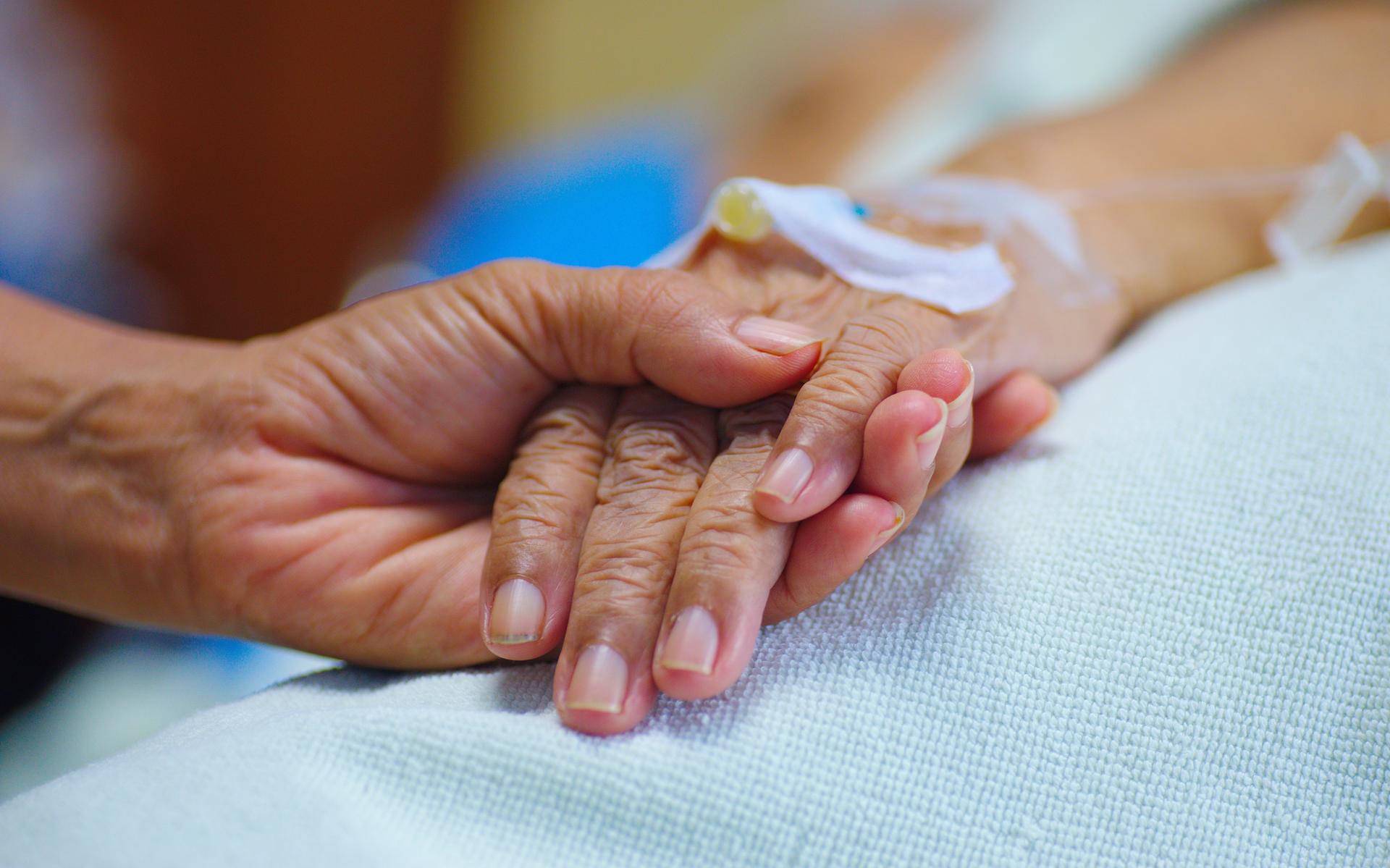 Palliatieve zorginstellingen Oost-Groningen samen verder: Vrijwilligers - Geen Hoop Meer Hebben