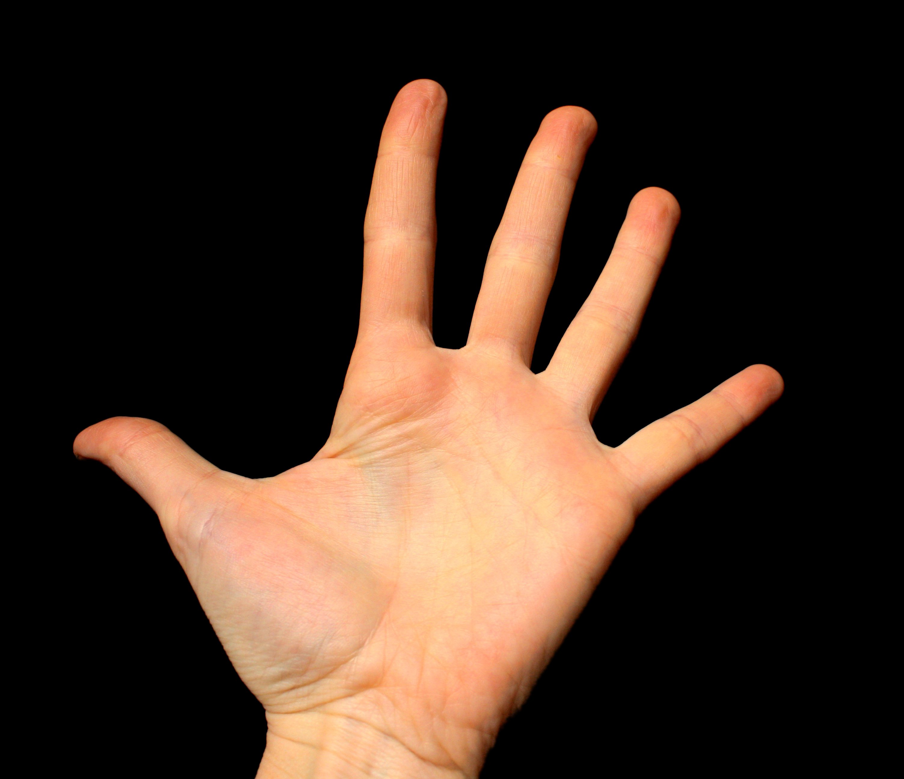 Palm Mounts: Parts of the Hand | Spiritual Cookie - Hand Mond En Voetziekte Kind
