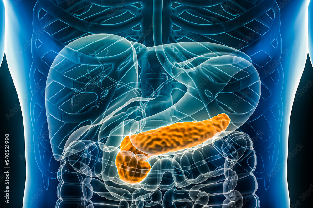 Pancreas Niet A Vue Betekenis
