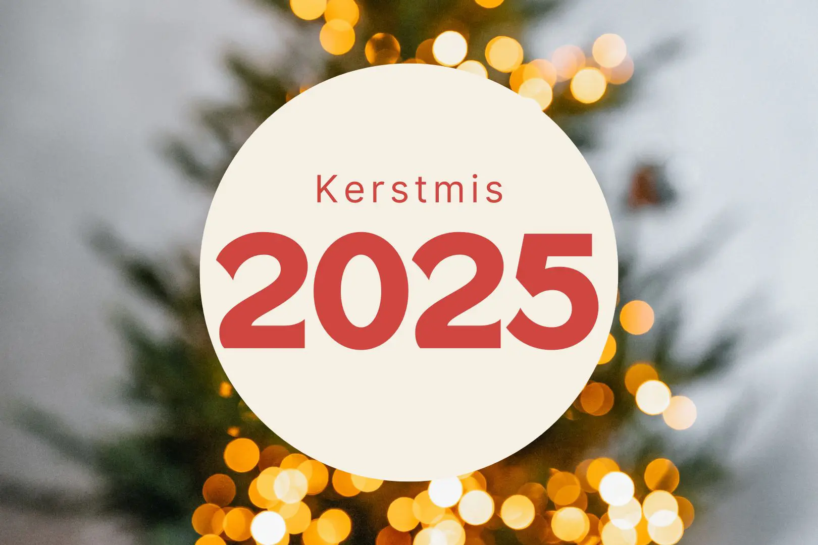 Party Kerst 2025 - Lia Deerdre - Wanneer Is Het Kerst Vakantie