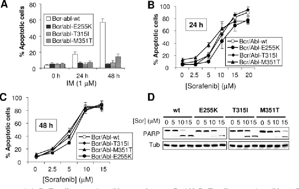 [PDF] The Multikinase Inhibitor Sorafenib Induces Apoptosis in Highly - Woestijn In Israël 5 Letters