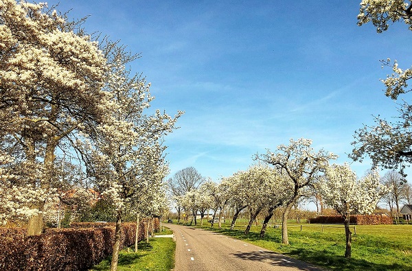 Het Weer In Ruinerwold