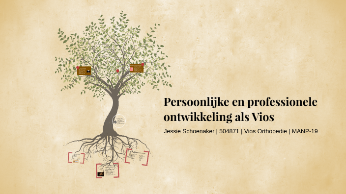 Persoonlijke En Professionele Ontwikkeling Tot Verpleegkundige