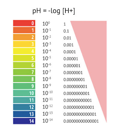 pH scale and logarithmic model at emaze Presentation - Ph Waarde Bloed Te Laag