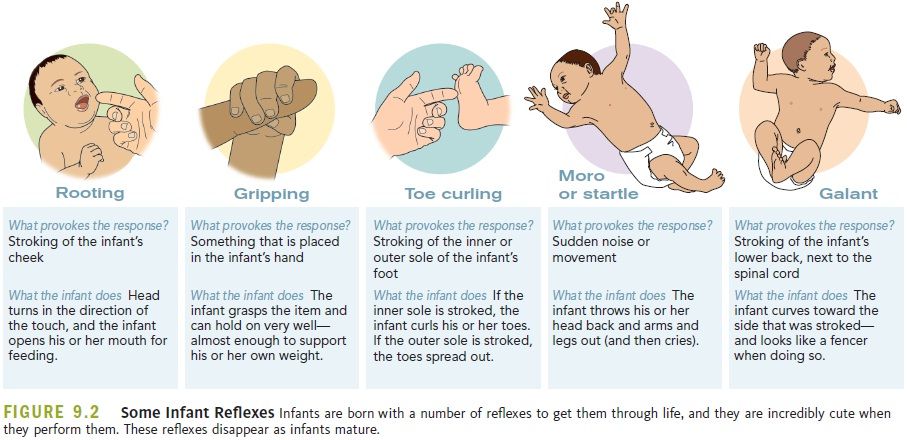 Welke Reflexen Heeft Een Baby In Het Begin