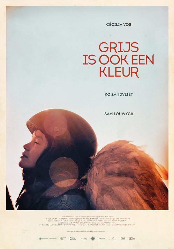 Picture of Grijs is ook een kleur - 2doc Wit Is Ook Een Kleur