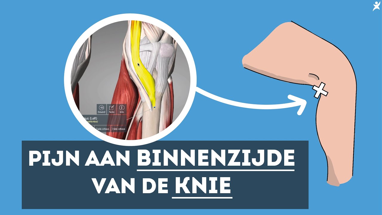 Pijn binnenkant knie? Ontdek de oplossing - YouTube - Stekende Pijn Bij Het Hart