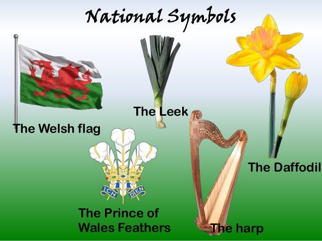 Pin by Julia Consult on wales | Welsh symbols, Wales, National symbols - Welke Groente Is Het Nationale Symbool Van Wales