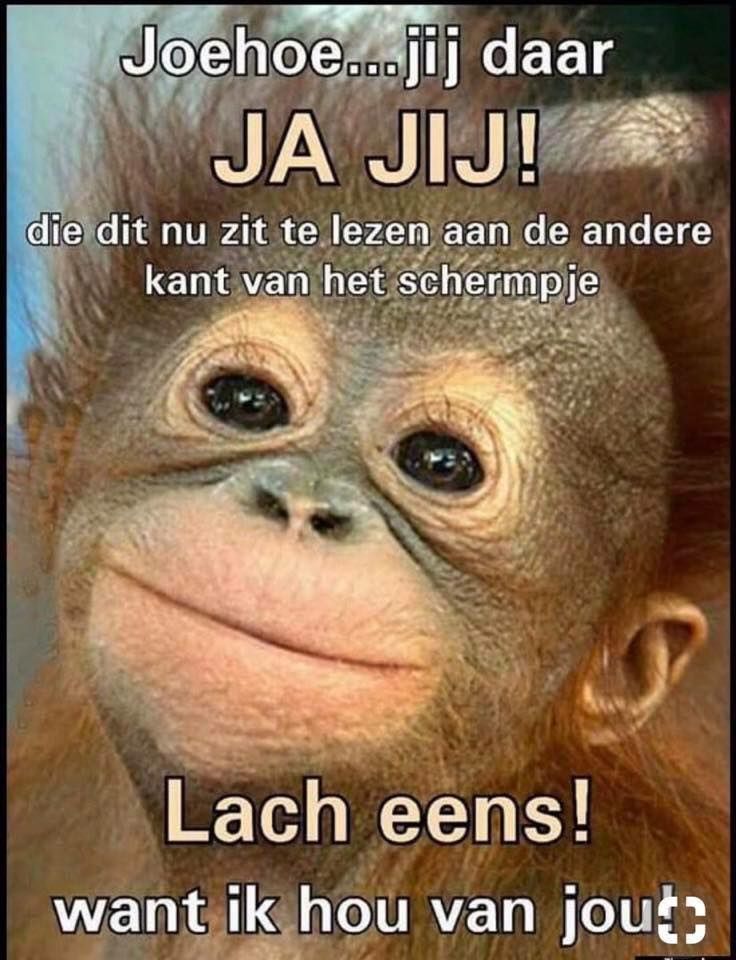 Pin di Bärbel Stutzke su smile it`s funny | Felicità, Animali, Buongiorno - Dit Kan Niet Waar Zijn Samenvatting