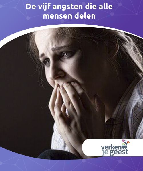Pin em Wellness - Het Boek Van Alle Angsten Samenvatting