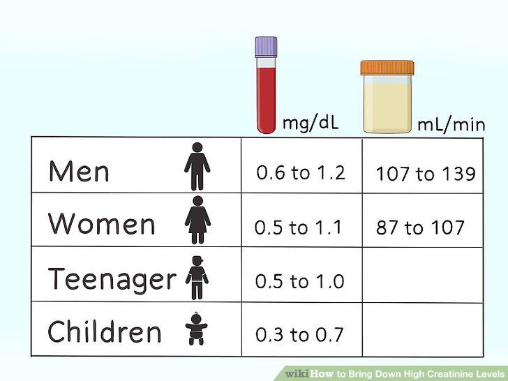 Hoe Hoog Mag Creatinine In Urine Zijn