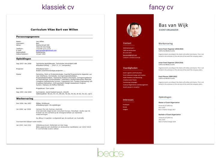 Wat Staat Er In Je Cv