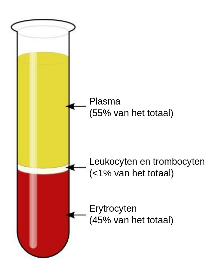 Hoeveel Liter Bloed Heeft Een Paard