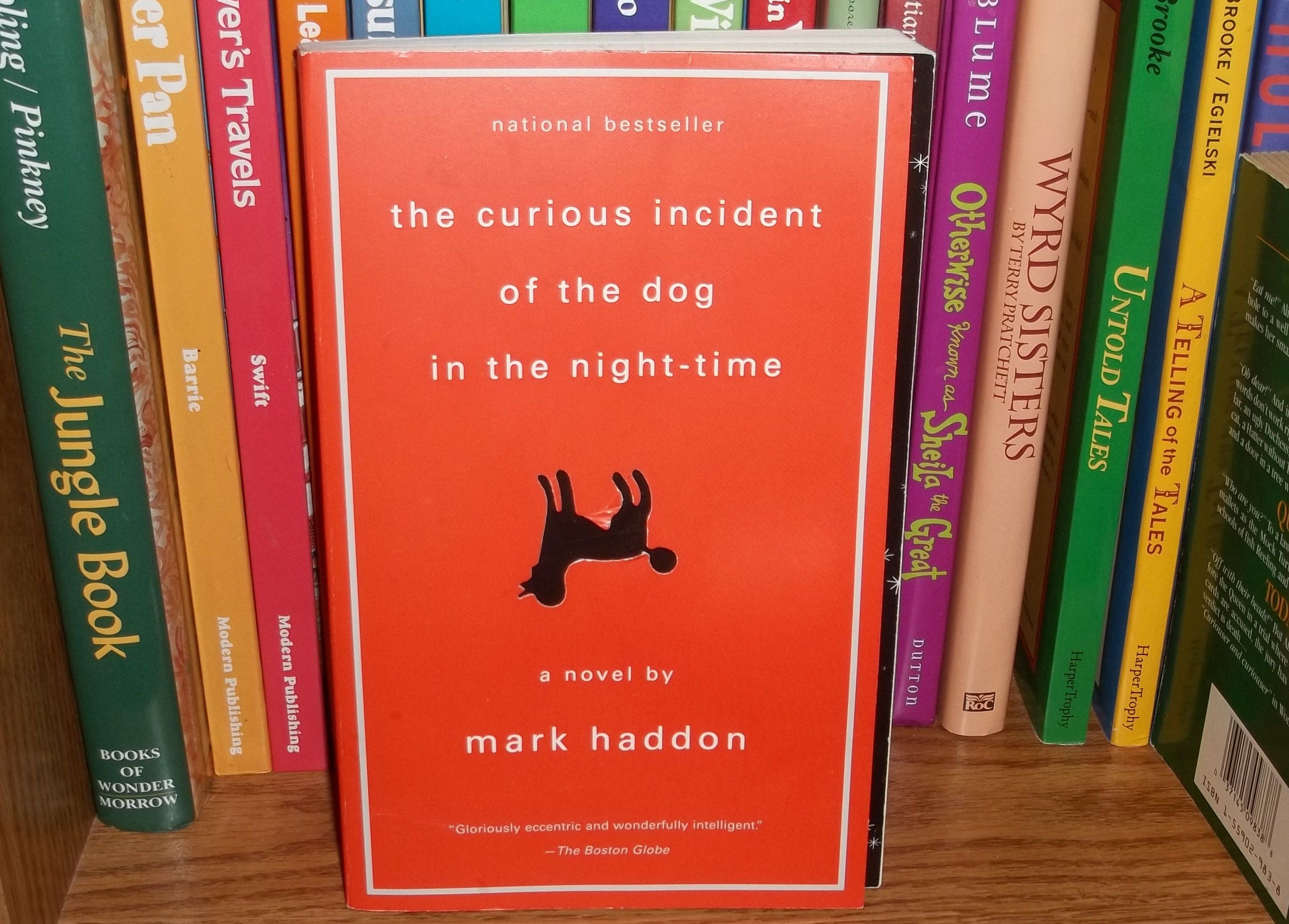Pin on reading / read - Curious Dog In The Nighttime Summary