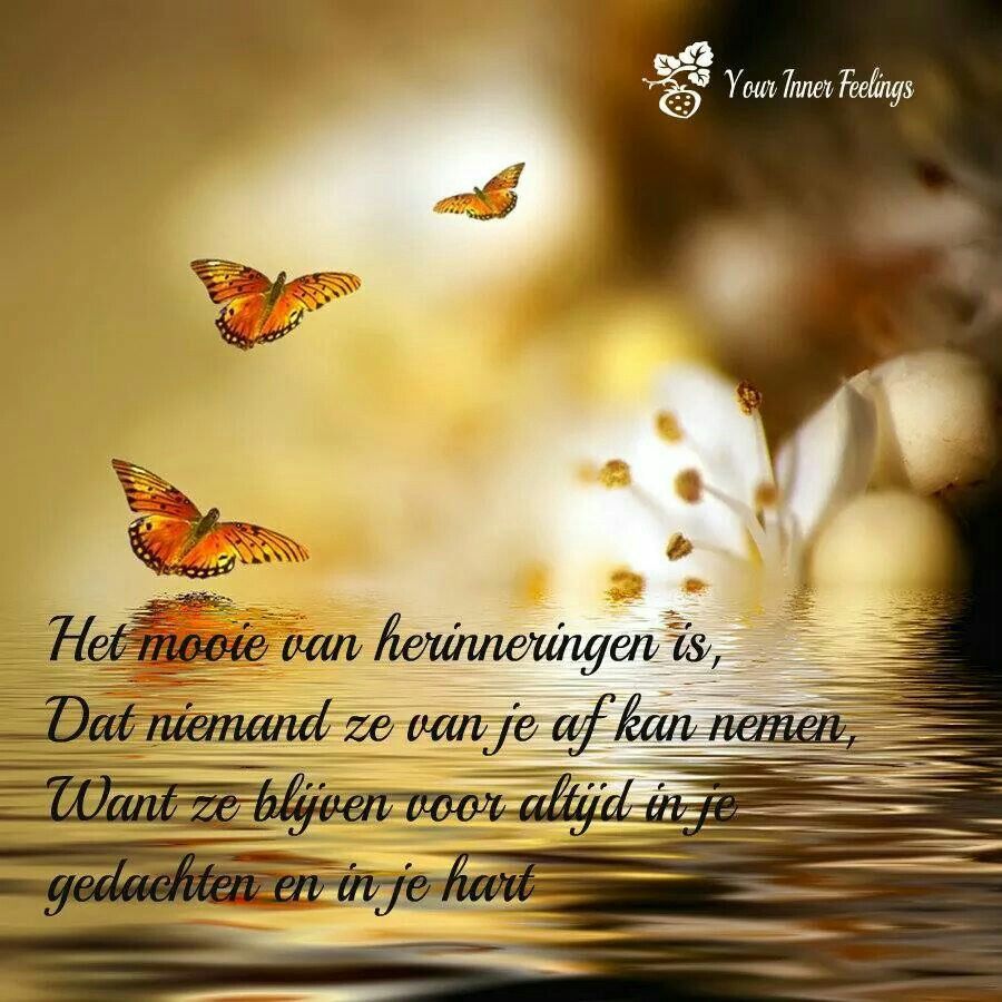 Pin on something to think about - Geen Woorden Voor Dit Verlies