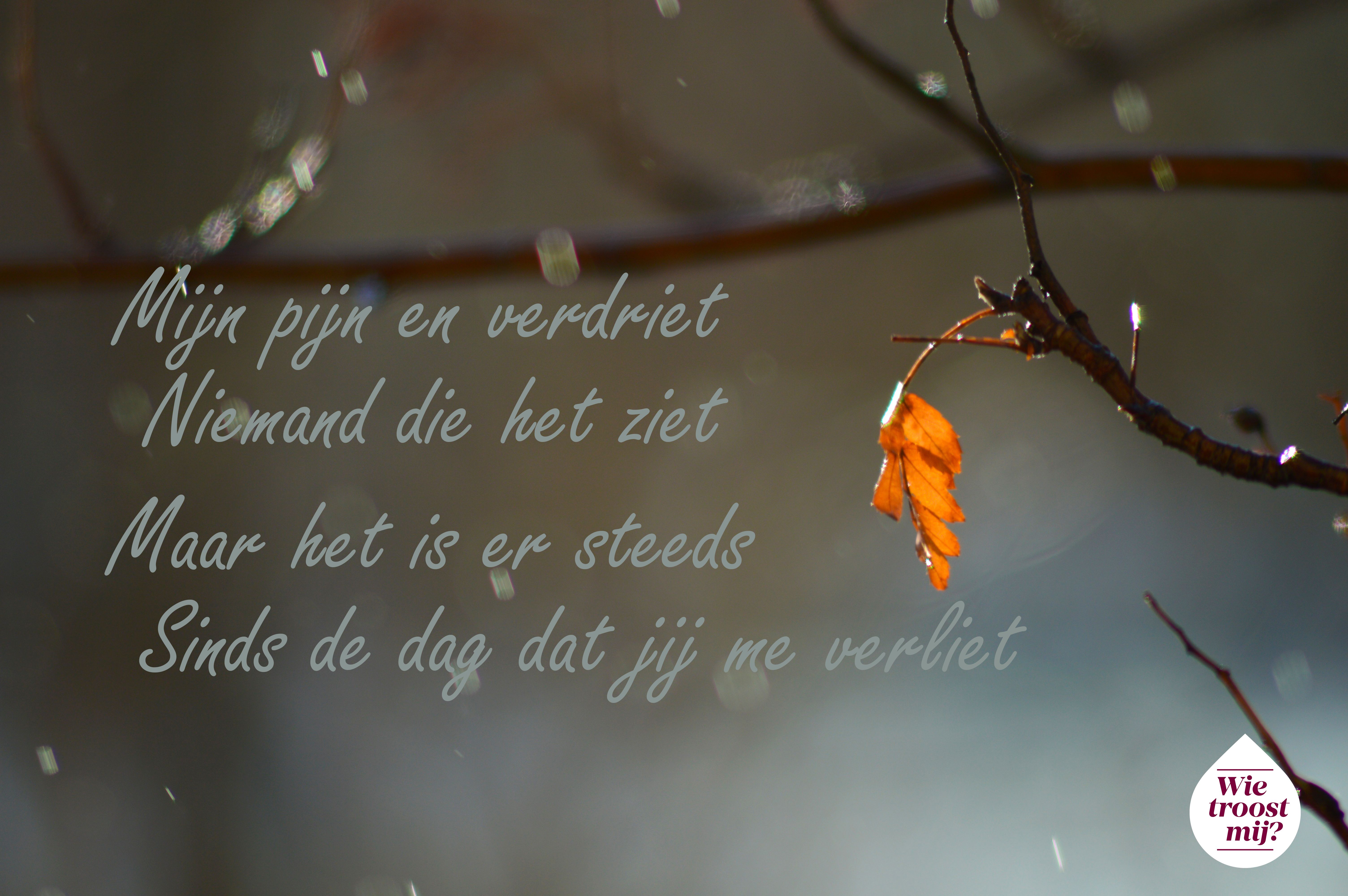 Pin on Troostende woorden - Missen Lief Leven Troost