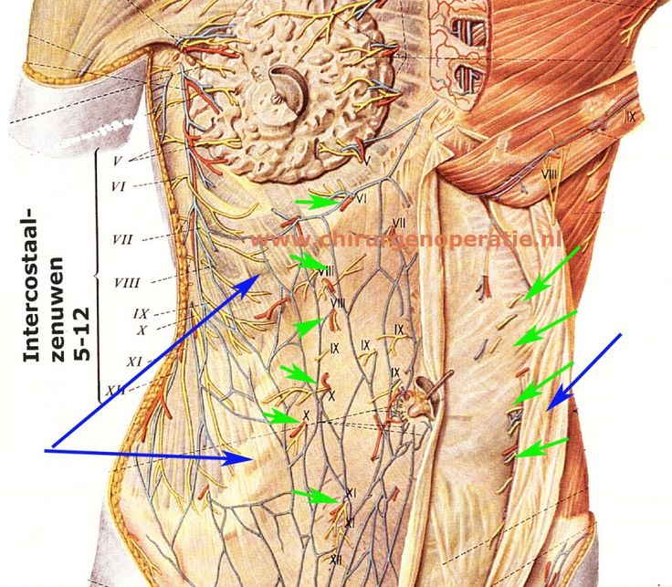 Pin op ACNES - Bult In Buik Rechts Naast Navel