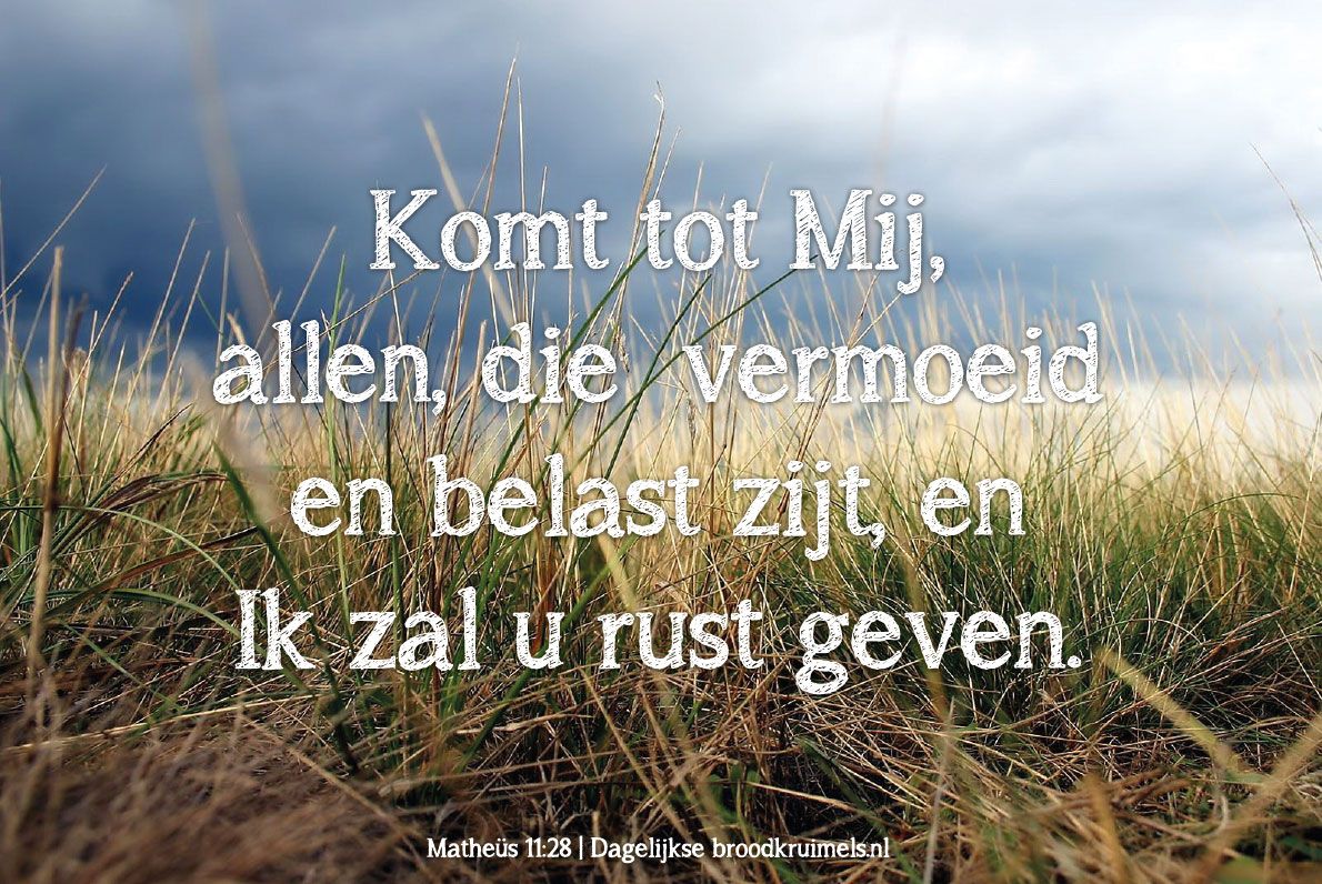 Komt Allen Die Vermoeid En Belast Zijn Tekst