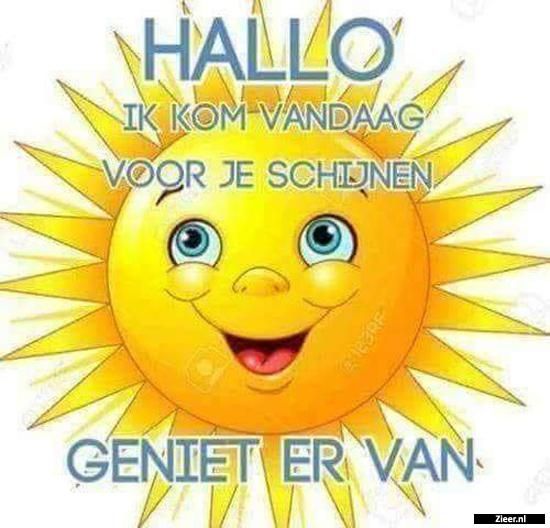 Een Goede Dag Voor De Ezel Samenvatting