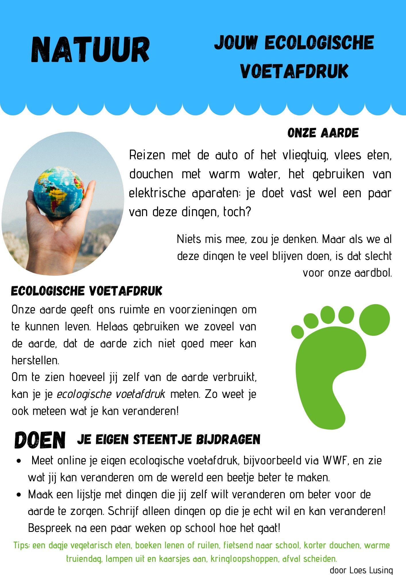 Wat Is Mijn Ecologische Voetafdruk