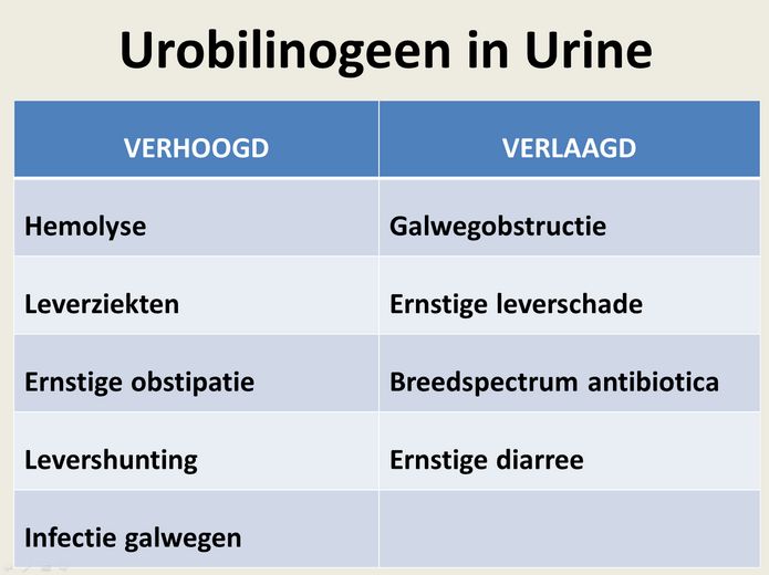 Pin op Laboratoriumuitslagen - Teveel Eiwit In Urine Oorzaak