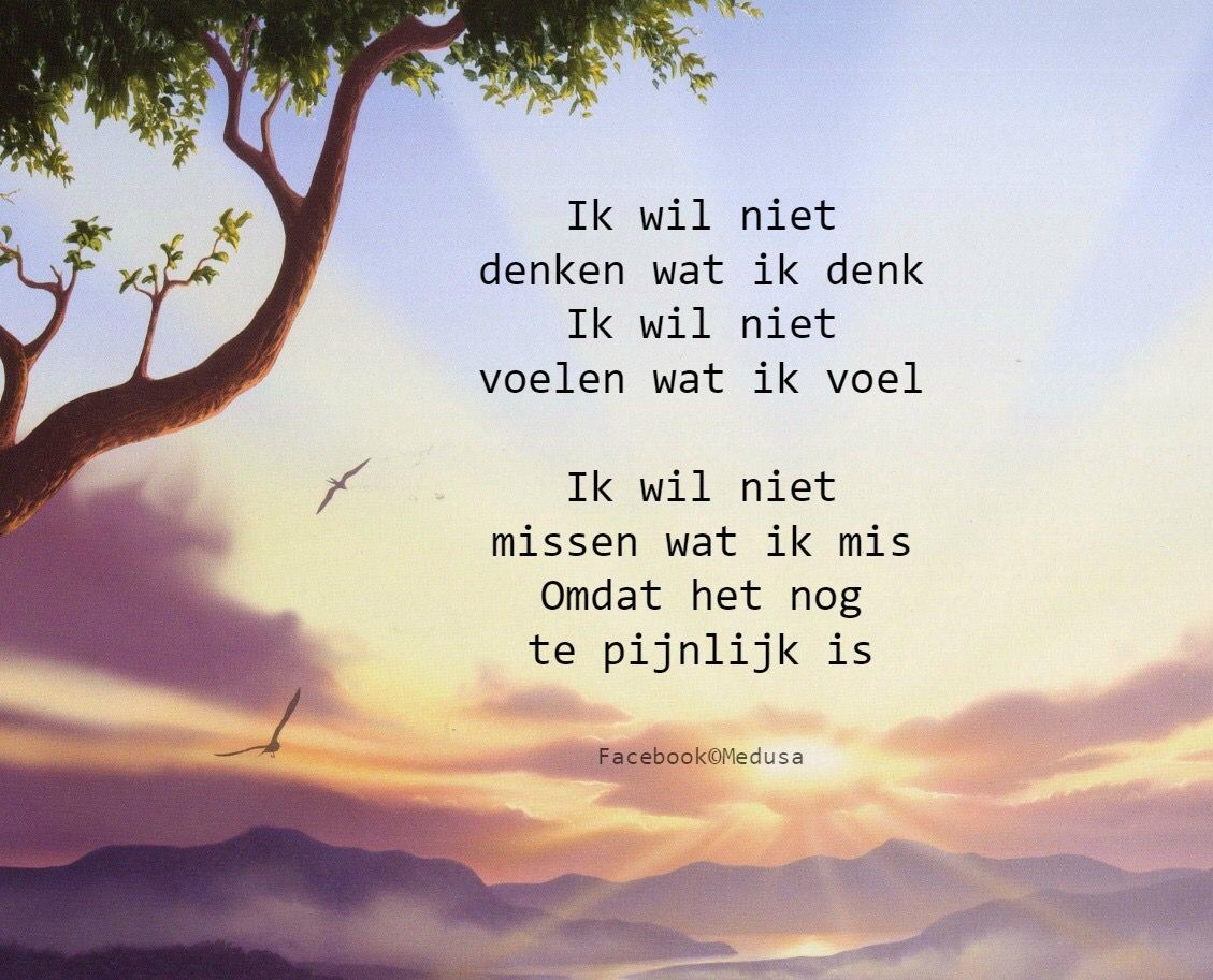 Gedicht Verdriet En Pijn