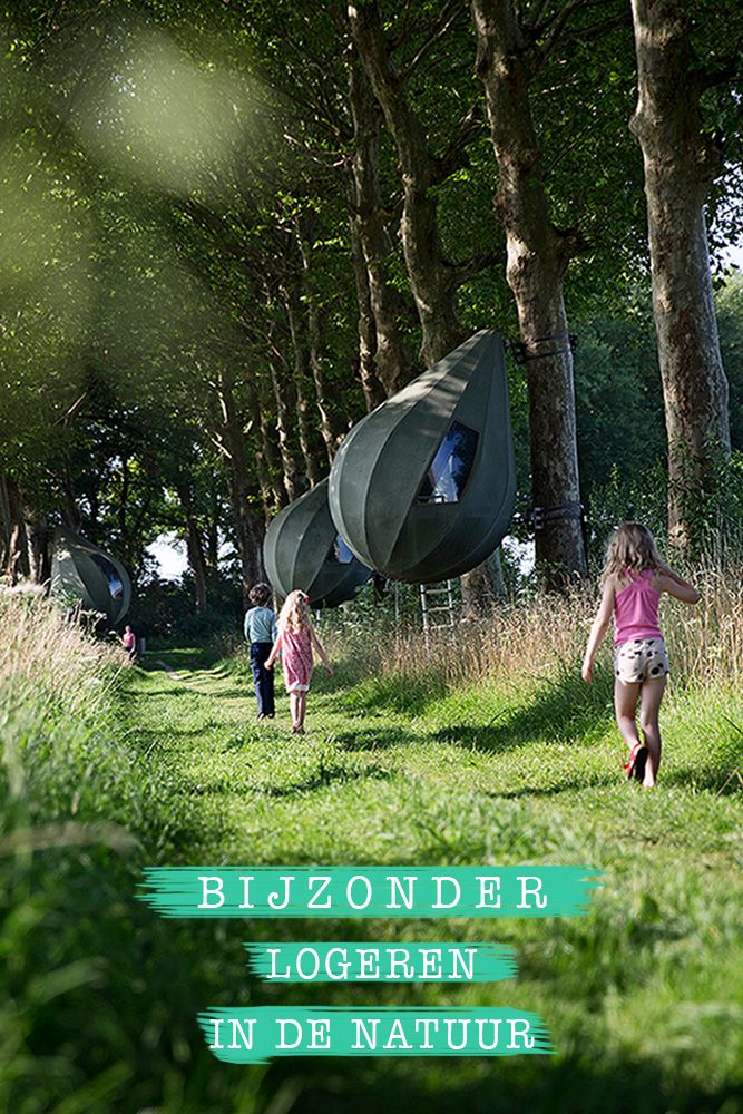 Het Onvriendelijke Meisje Zit In Een Boom