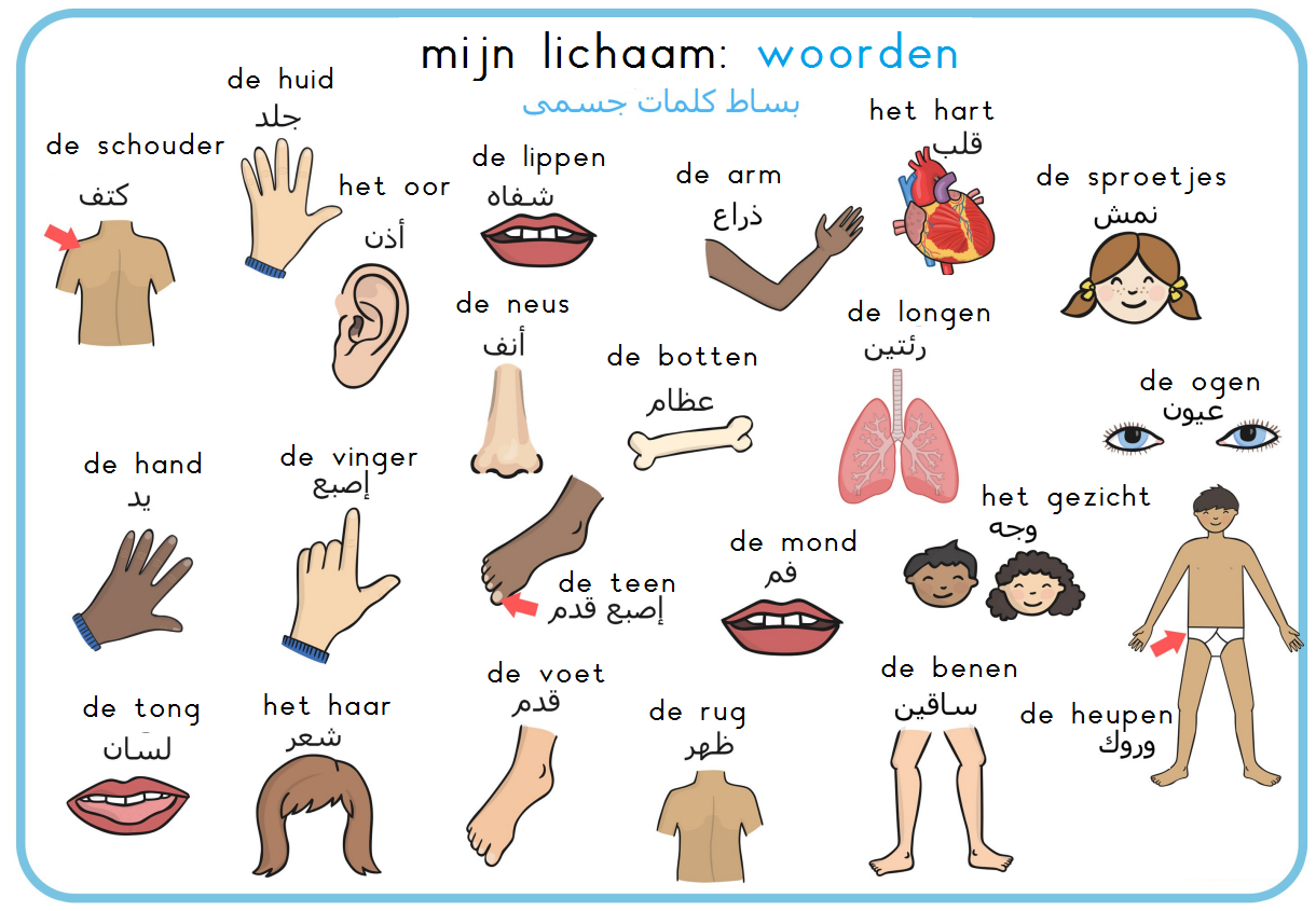 Wat Is In Het Nederlands