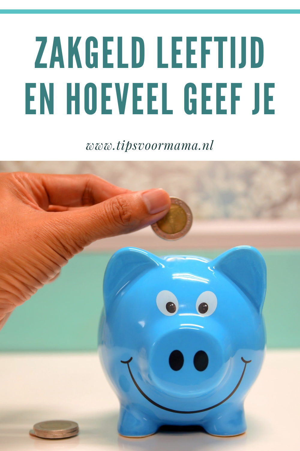 Hoeveel Zakgeld Bij Welke Leeftijd