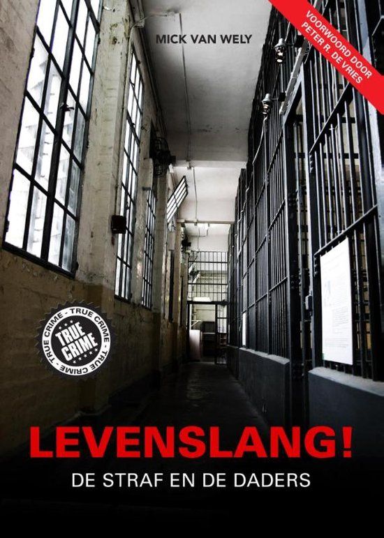 Hoe Lang Is Levenslang Gevangenisstraf In Nederland