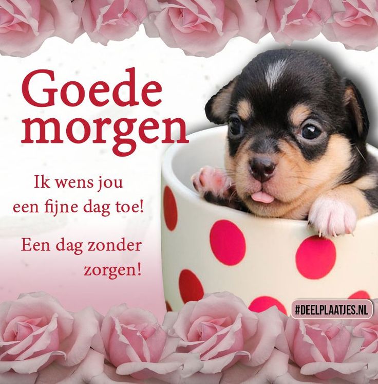 Goedemorgen En Een Fijne Dag