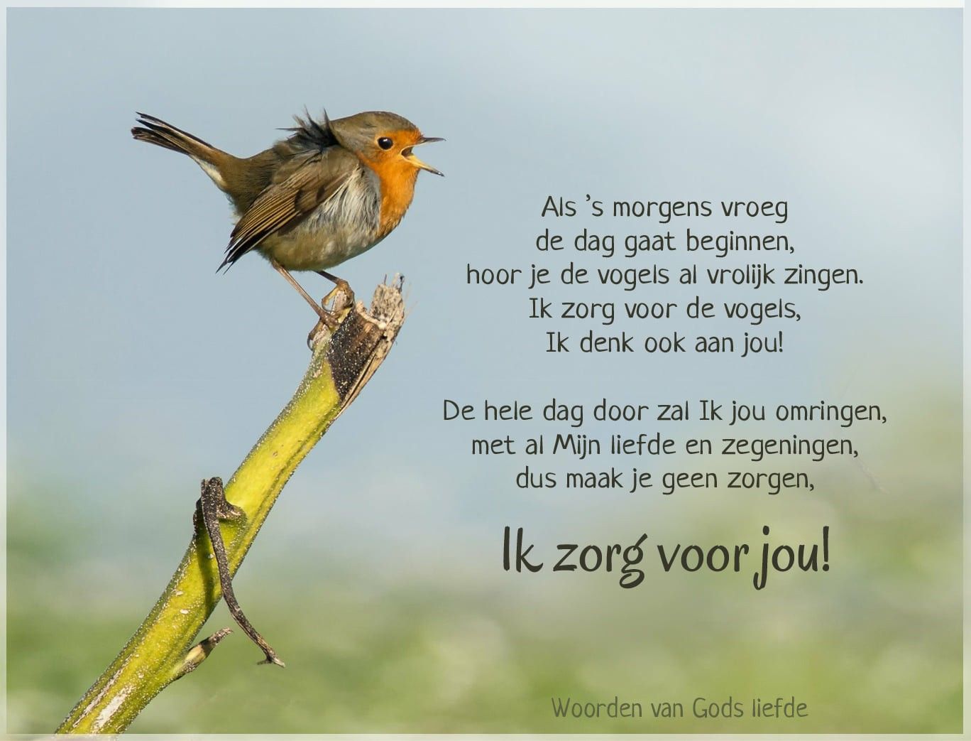 Mag Je Zweren Als Je Christelijk Bent