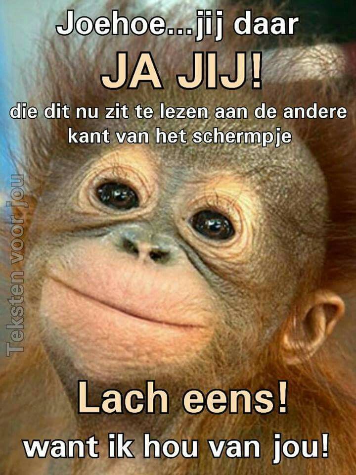 Pin van Jo's Moodboards op Dutch quotes | Grappige citaten, Grappige - Grappig Antwoord Op Hoe Gaat Het