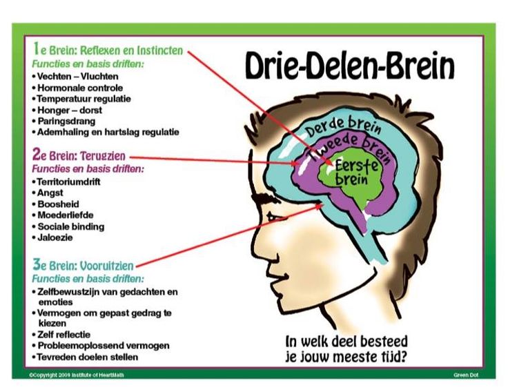 Hoe Werkt Angst In De Hersenen