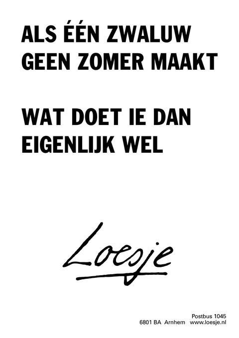 Een Zwaluw Maakt Nog Geen Zomer Betekenis